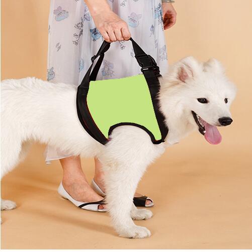 Dog Hind Leg Assist Belt for Pet Support
