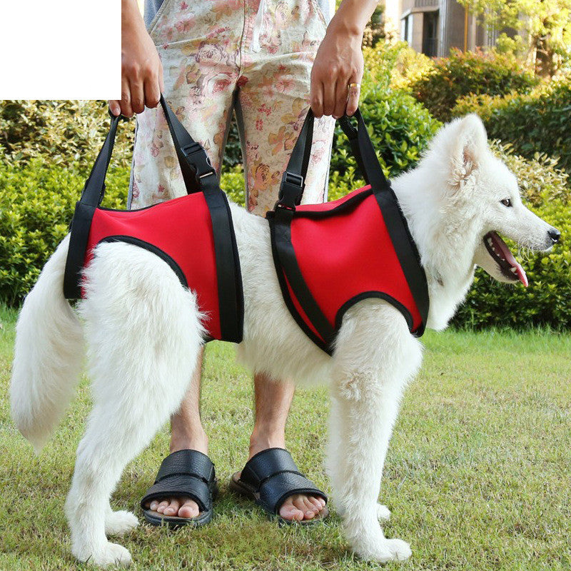 Dog Hind Leg Assist Belt for Pet Support