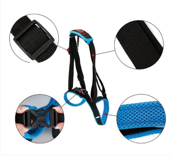 Back Leg Support Harness