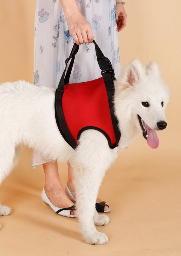Dog Hind Leg Assist Belt for Pet Support