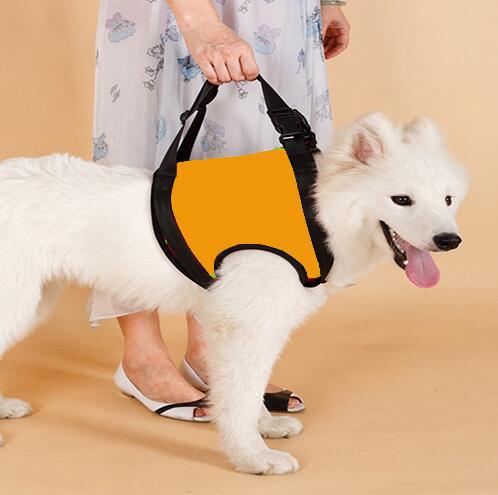 Dog Hind Leg Assist Belt for Pet Support